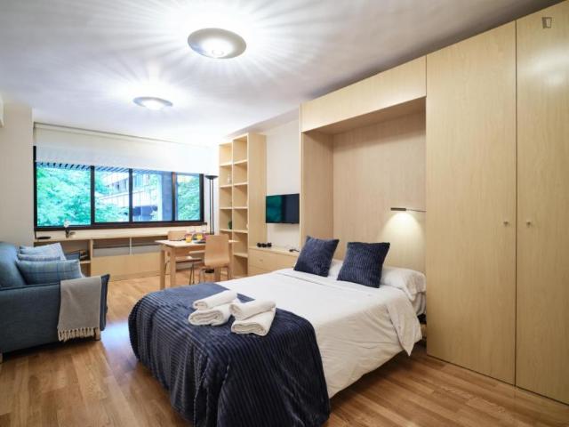 Apartamentos Madrid Madrid 103277087