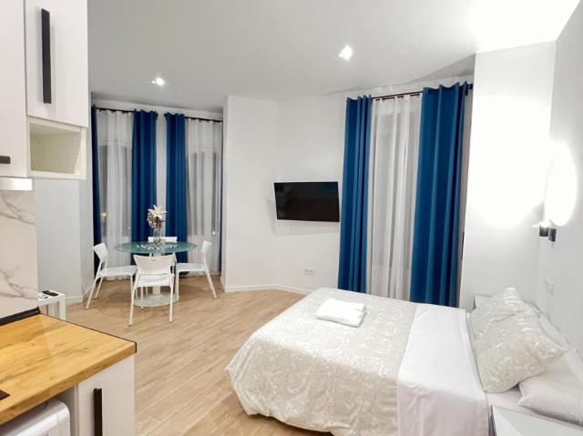 Apartamentos Madrid Madrid 103282943