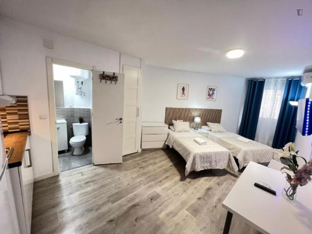 Apartamentos Madrid Madrid 103283145