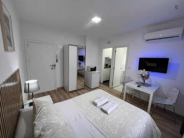 Apartamentos Madrid Madrid 103283177