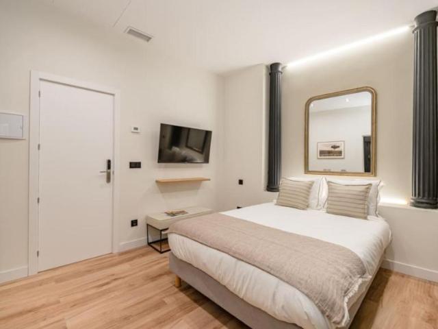 Apartamentos Madrid Madrid 103372623