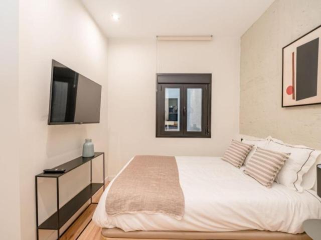 Apartamentos Madrid Madrid 103372628