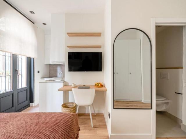 Apartamentos Madrid Madrid 103372636