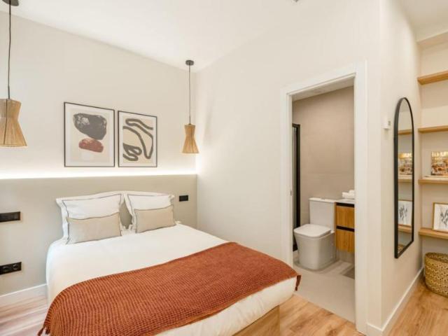 Apartamentos Madrid Madrid 103372667