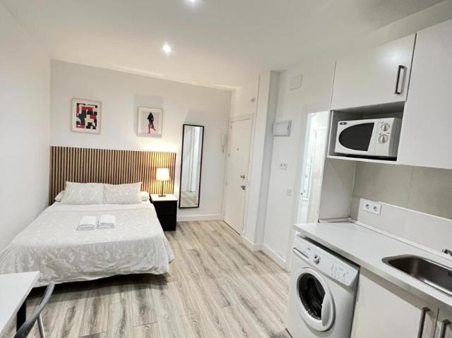 Apartamentos Madrid Madrid 103396838
