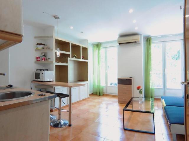 Apartamentos Madrid Madrid 104682086