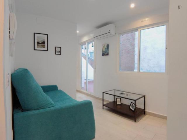 Apartamentos Madrid Madrid 104682087