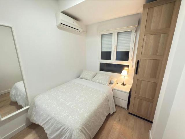 Apartamentos Madrid Madrid 104783919