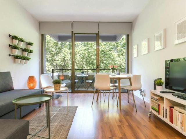 Apartamentos Madrid Madrid 104069362