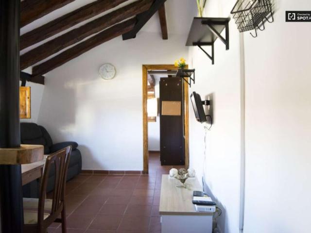 Apartamentos Madrid Madrid 104144858