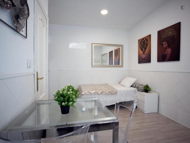 Apartamentos Madrid Madrid 104183366