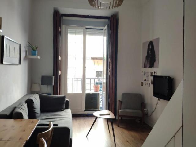 Apartamentos Madrid Madrid 105185644