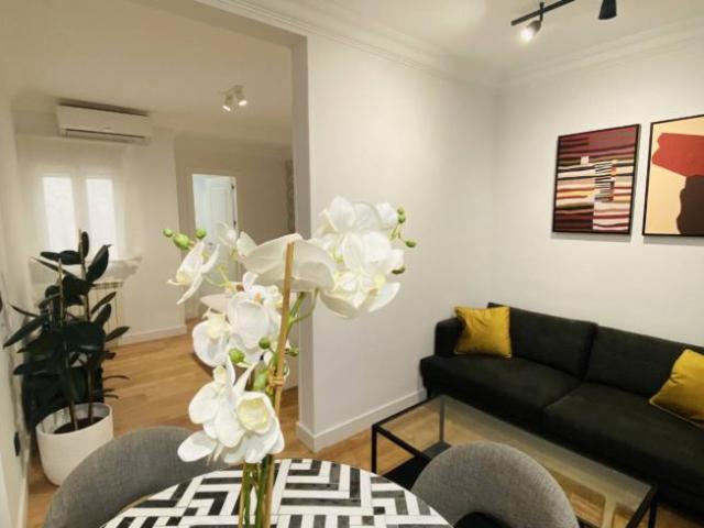 Apartamentos Madrid Madrid ELS101738618