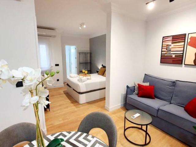 Apartamentos Madrid Madrid ELS101771848