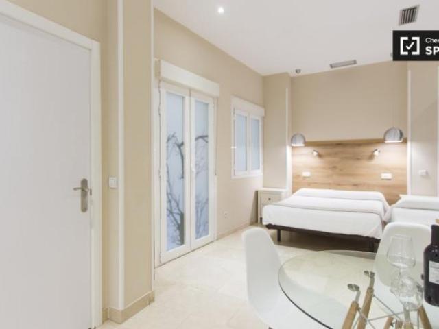 Apartamentos Madrid Madrid ELS101812711