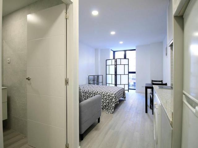 Apartamentos Madrid Madrid ES100725846