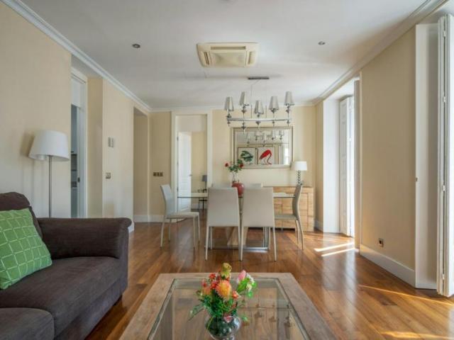 Apartamentos Madrid Madrid ES101305646