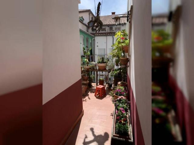 Apartamentos Madrid Madrid ES101671155