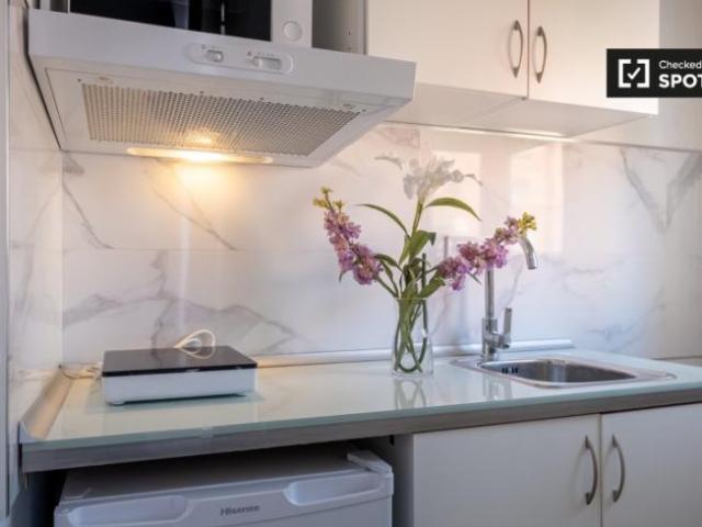 Apartamentos Madrid Madrid ES101854535