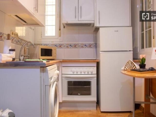 Apartamentos Madrid Madrid ES101819373
