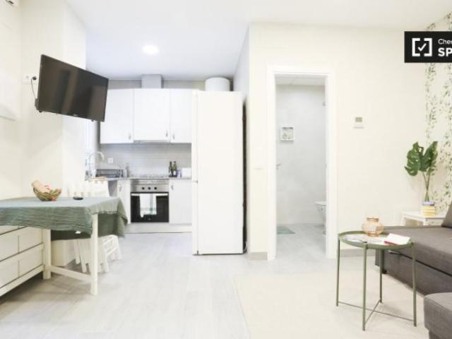 Apartamentos Madrid Madrid ES101819802