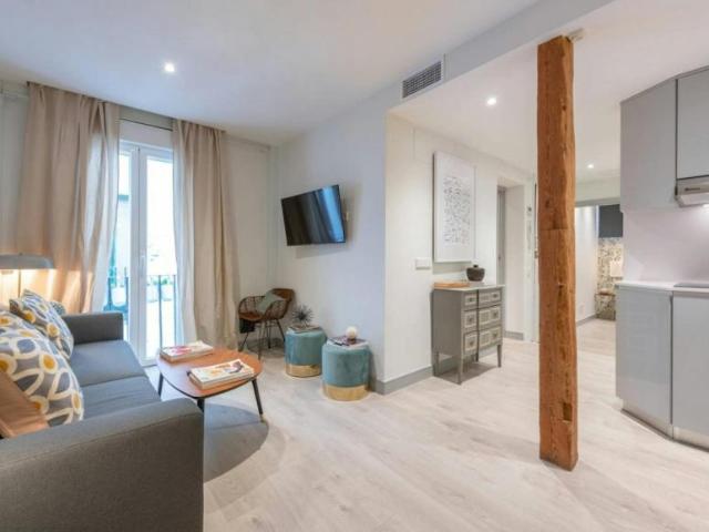 Apartamentos Madrid Madrid ES102470399