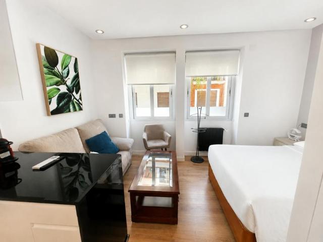 Apartamentos Madrid Madrid ES102553917