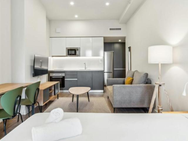 Apartamentos Madrid Madrid ES102521428