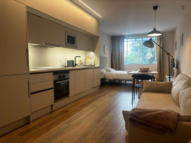 Apartamentos Madrid Madrid ES103274226