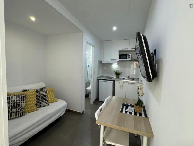 Apartamentos Madrid Madrid ES103612322