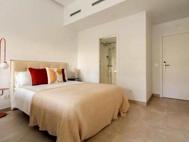 Apartamentos Madrid Madrid ES94211492