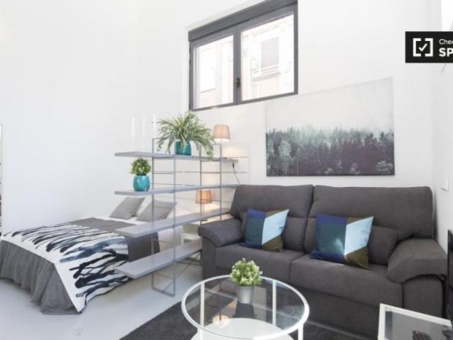 Apartamentos Madrid Madrid ES96964050