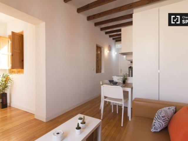 Apartamentos Madrid Madrid ES97132784