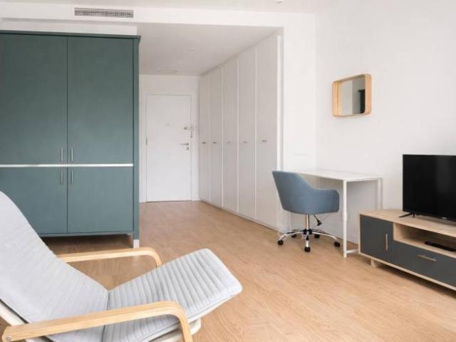 Apartamentos Madrid Madrid ES99010199