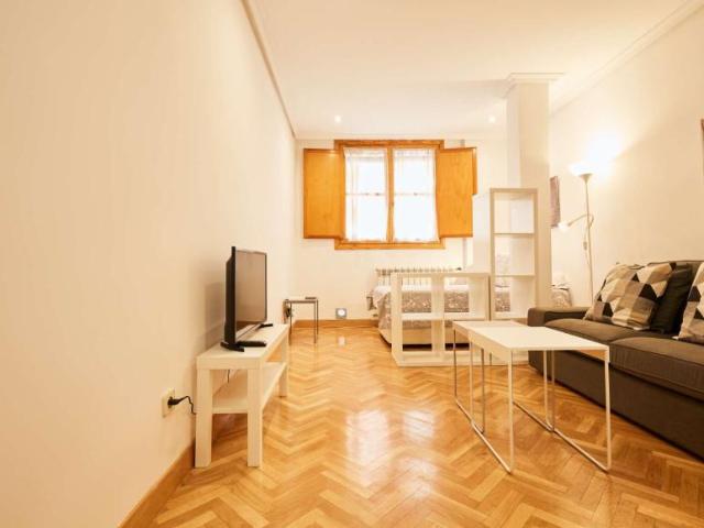 Apartamentos Madrid Madrid LS101190992