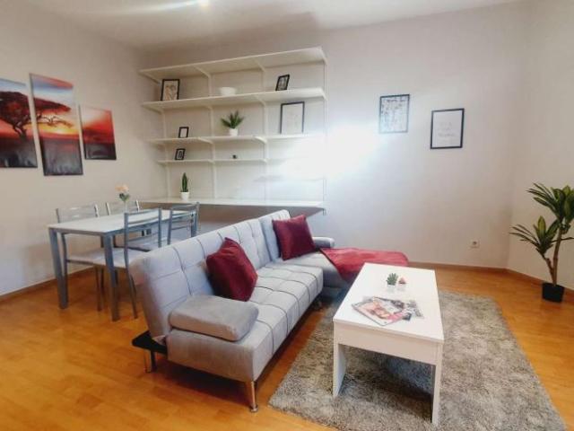 Apartamentos Madrid Madrid LS101191233