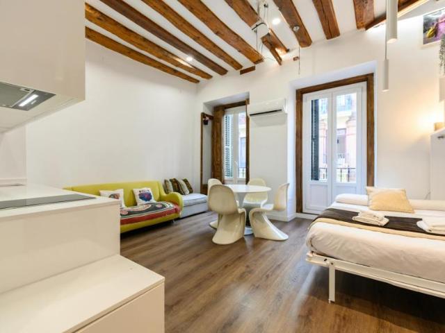 Apartamentos Madrid Madrid LS101222005