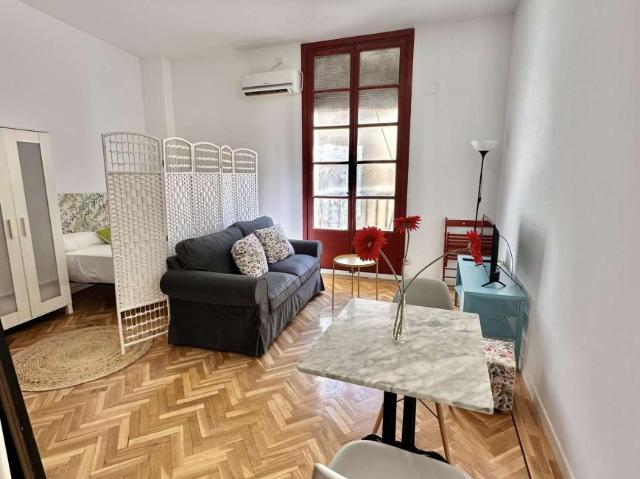 Apartamentos Madrid Madrid LS101671124