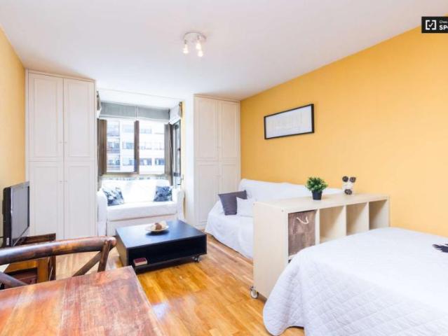 Apartamentos Madrid Madrid LS101671996