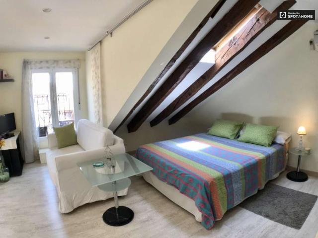 Apartamentos Madrid Madrid LS101771531
