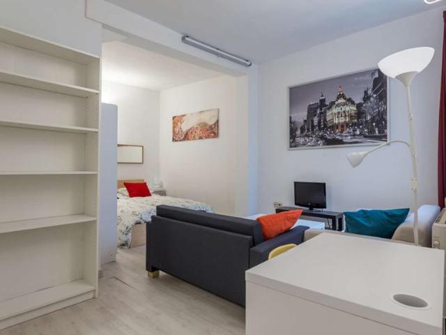 Apartamentos Madrid Madrid LS101811940