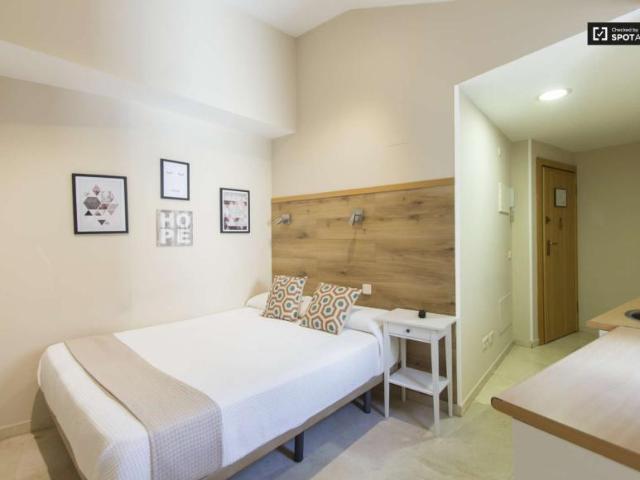 Apartamentos Madrid Madrid LS101813141