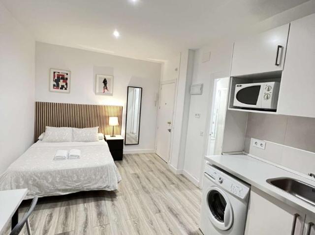 Apartamentos Madrid Madrid LS101817373
