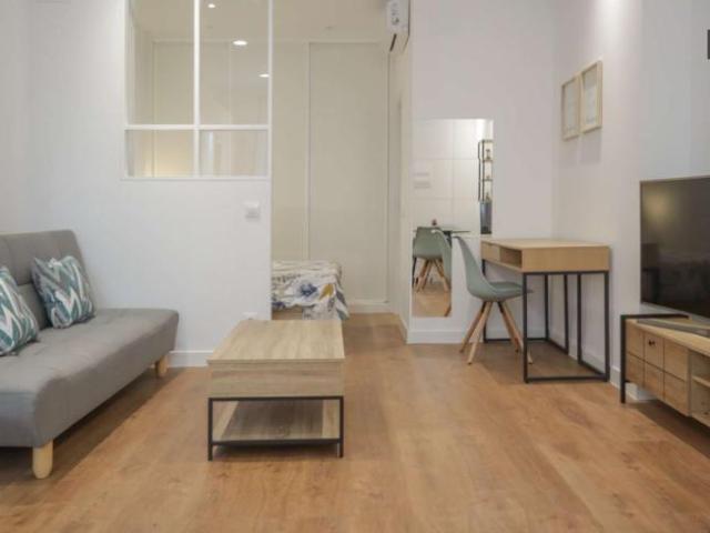 Apartamentos Madrid Madrid LS101818705