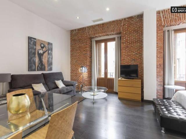 Apartamentos Madrid Madrid LS101819611
