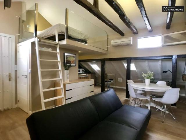 Apartamentos Madrid Madrid LS101819884