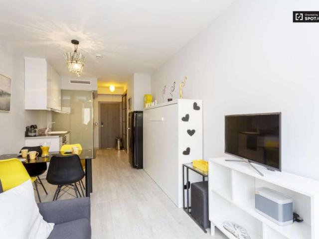 Apartamentos Madrid Madrid LS101819981