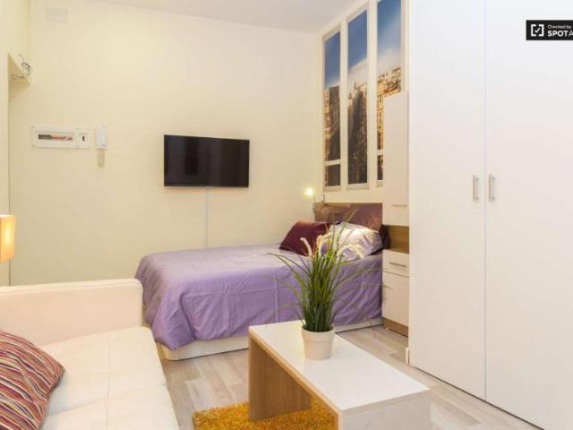 Apartamentos Madrid Madrid LS102796536
