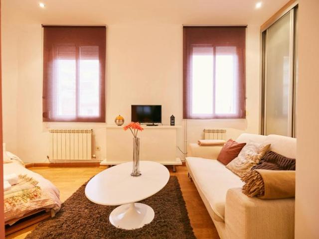Apartamentos Madrid Madrid LS102854812