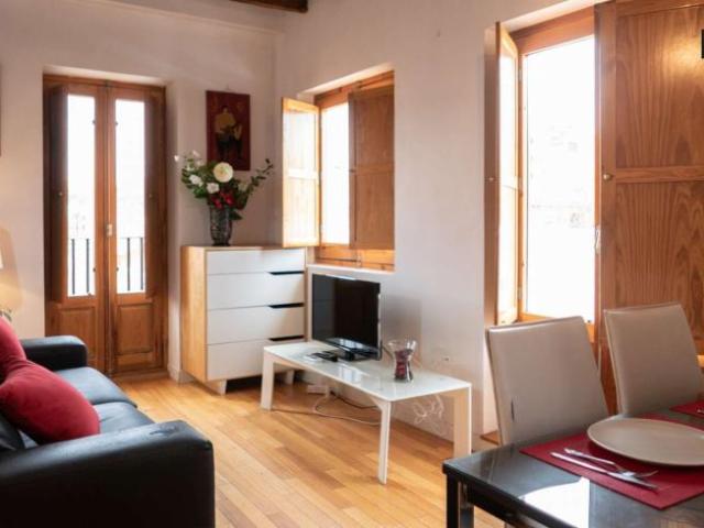 Apartamentos Madrid Madrid LS97132847